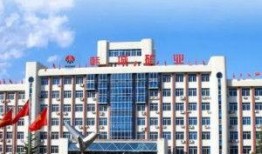 韩城矿务局爆料事件最新,揭开背后真相与反思